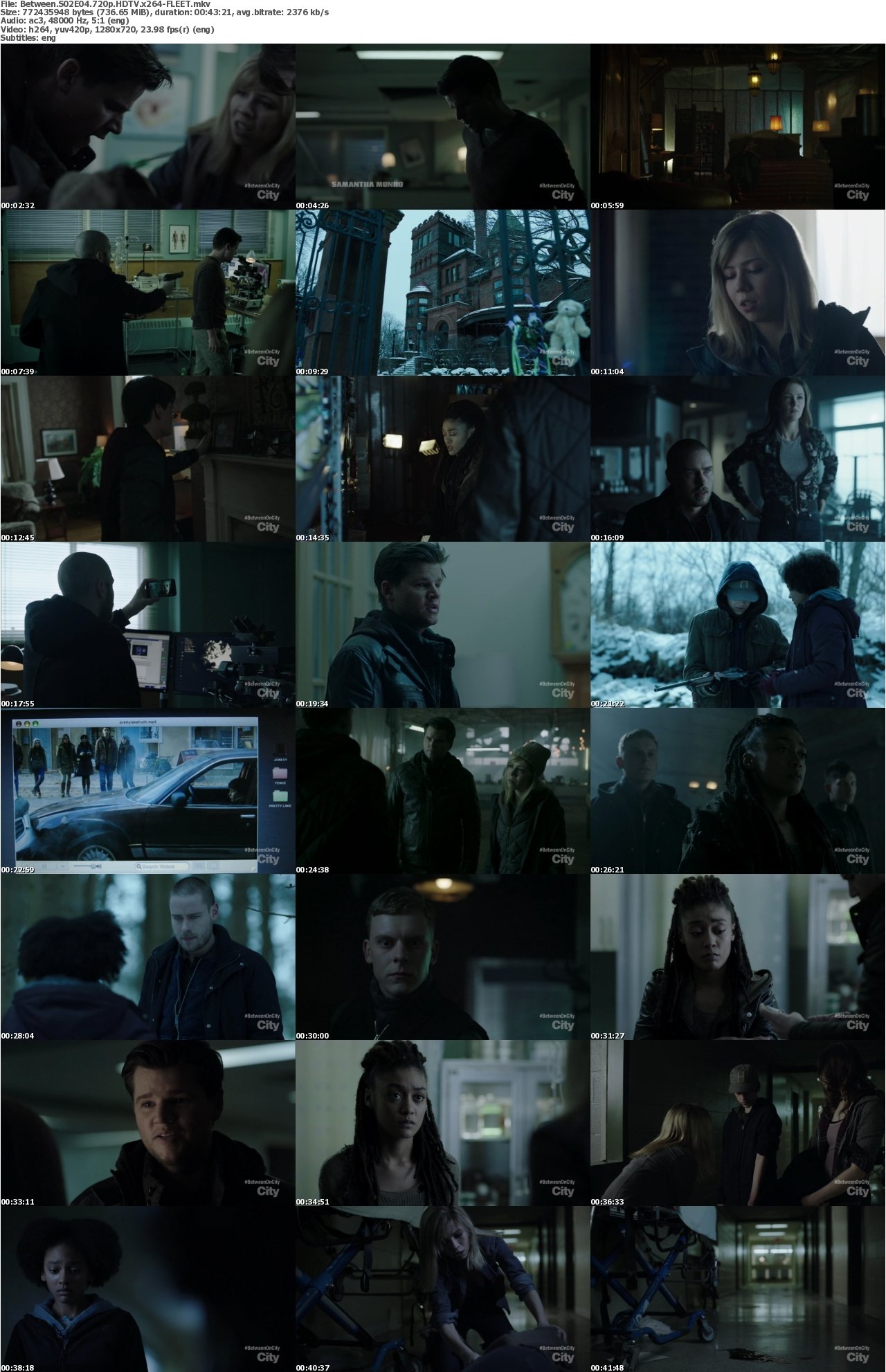 Between S02E04 720p HDTV x264-FLEET