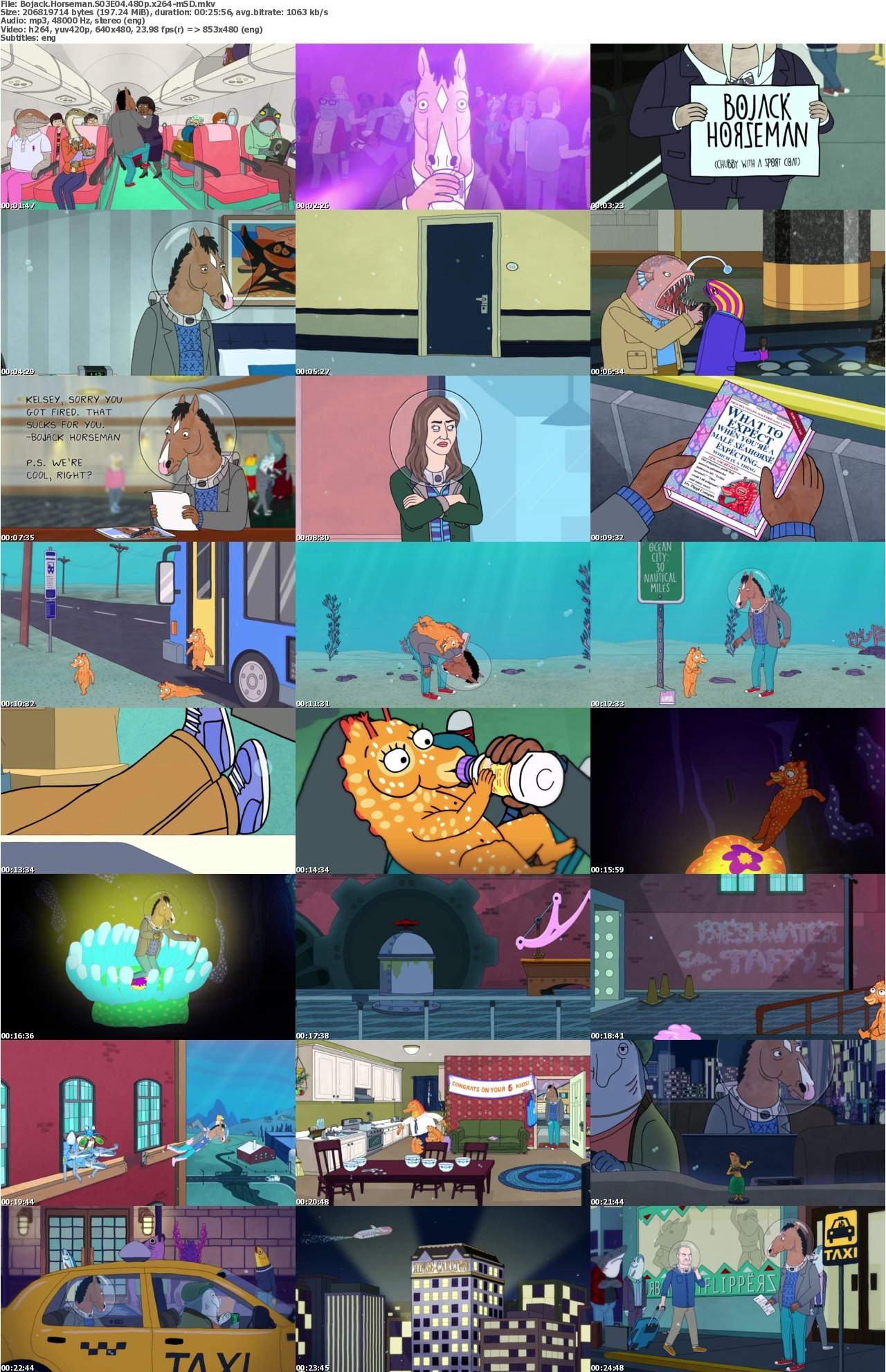 Bojack Horseman S03E04 480p x264-mSD