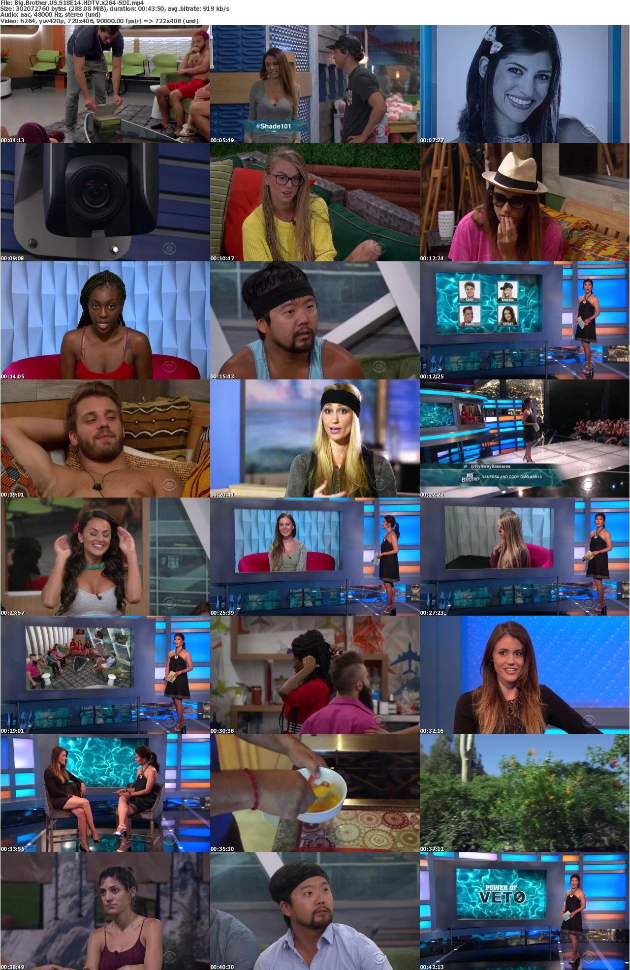Big Brother US S18E14 HDTV x264-SDI