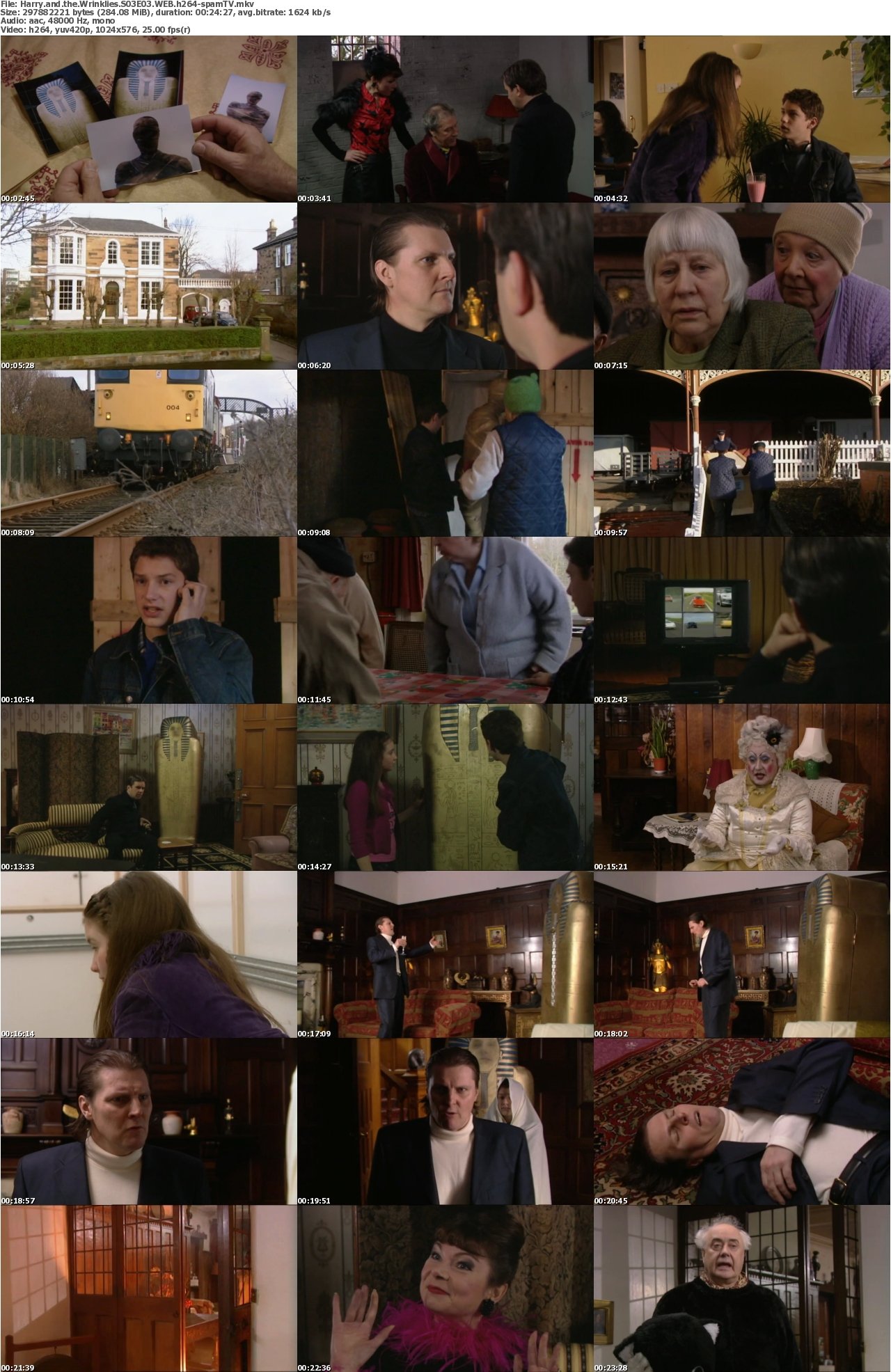 Harry and the Wrinklies S03E03 WEB h264-spamTV