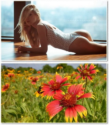 Wallpapers on a desktop 938
