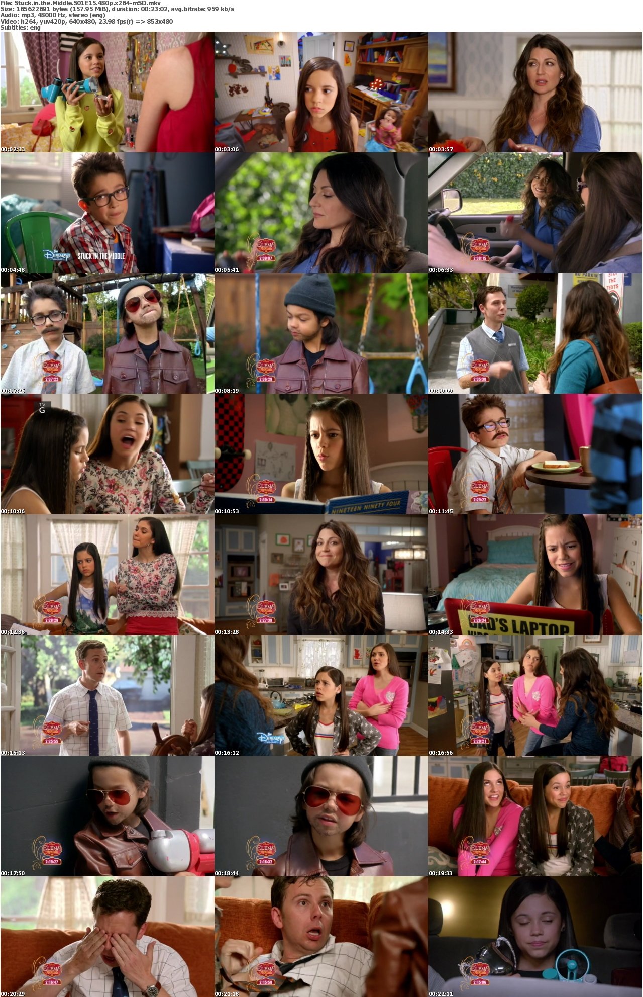 Stuck in the Middle S01E15 480p x264-mSD