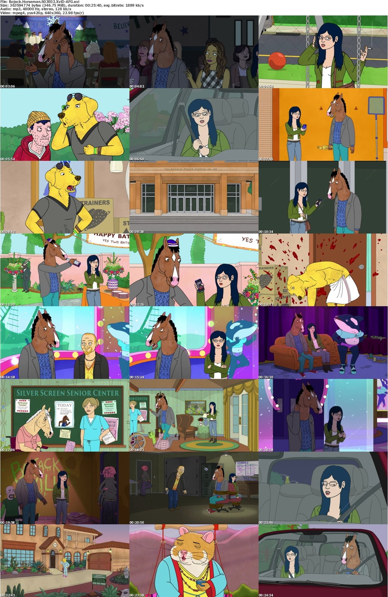 Bojack Horseman S03E03 XviD-AFG