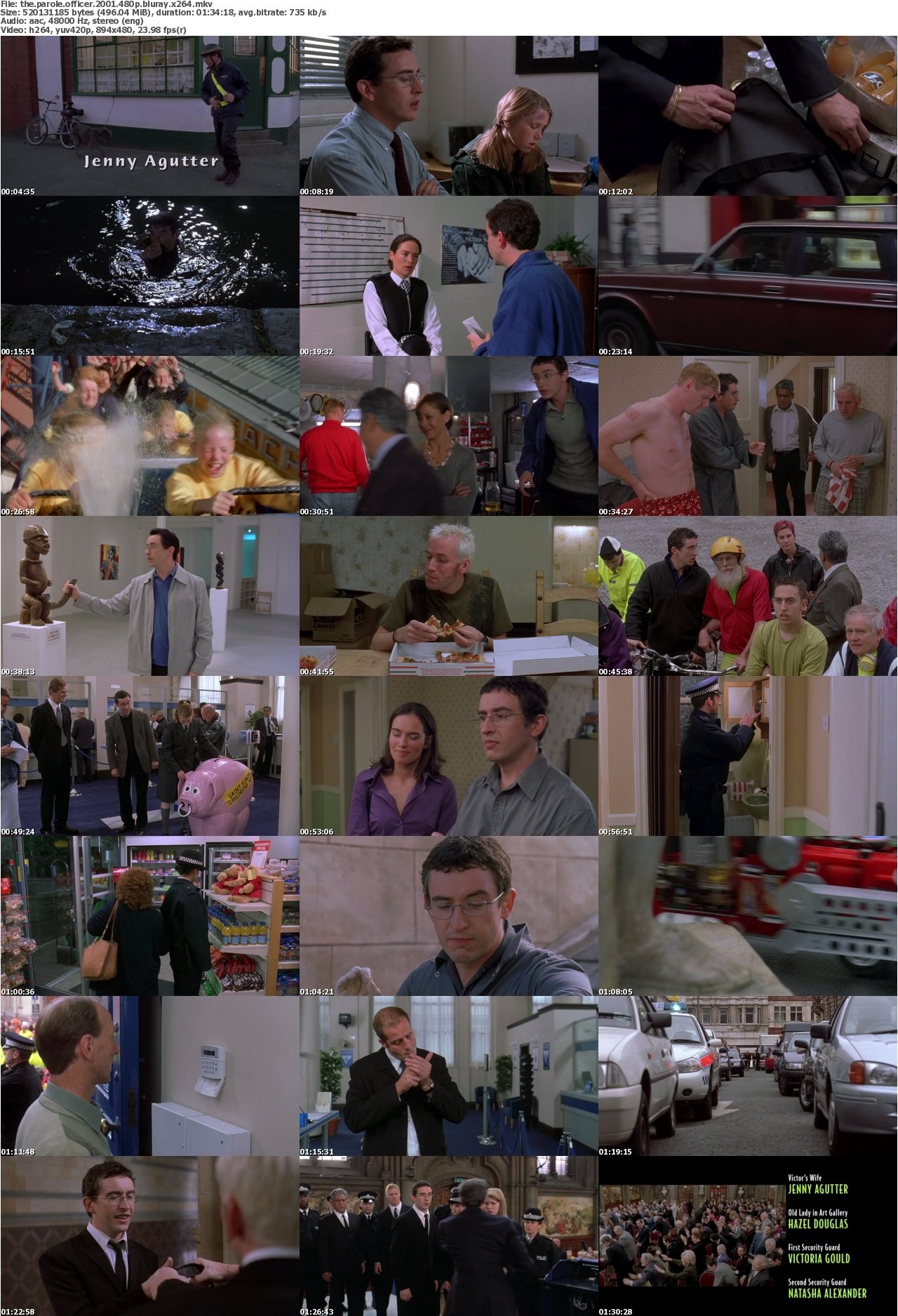 The Parole Officer 2001 480p BluRay x264