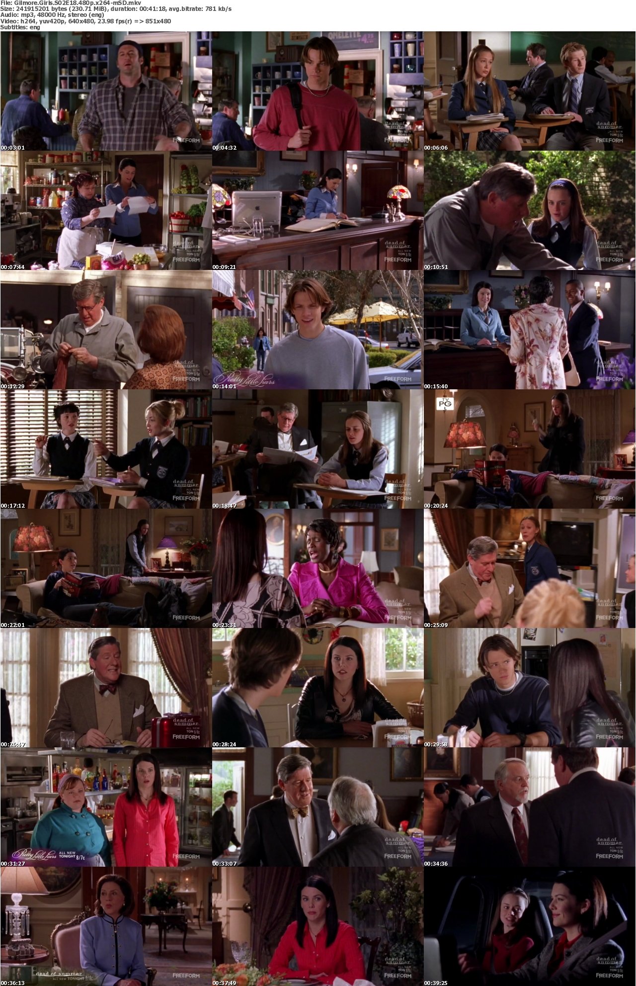 Gilmore Girls S02E18 480p x264-mSD