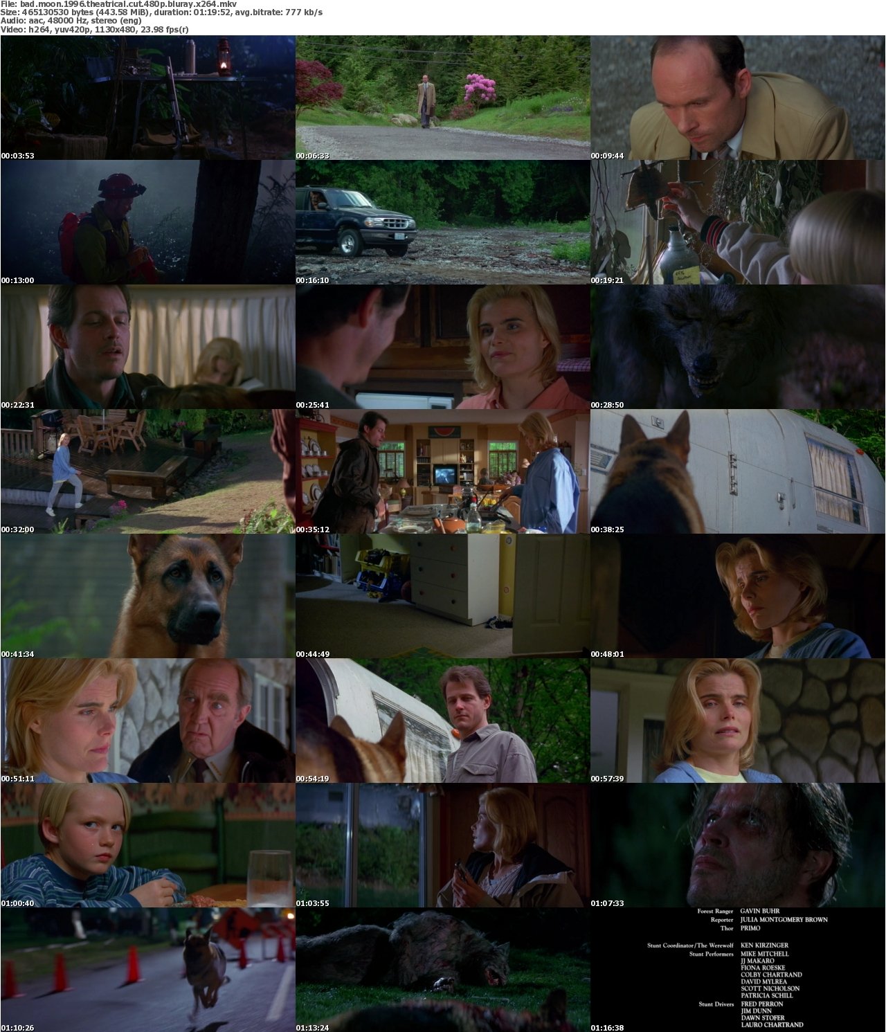 Bad Moon 1996 Theatrical Cut 480p BluRay x264