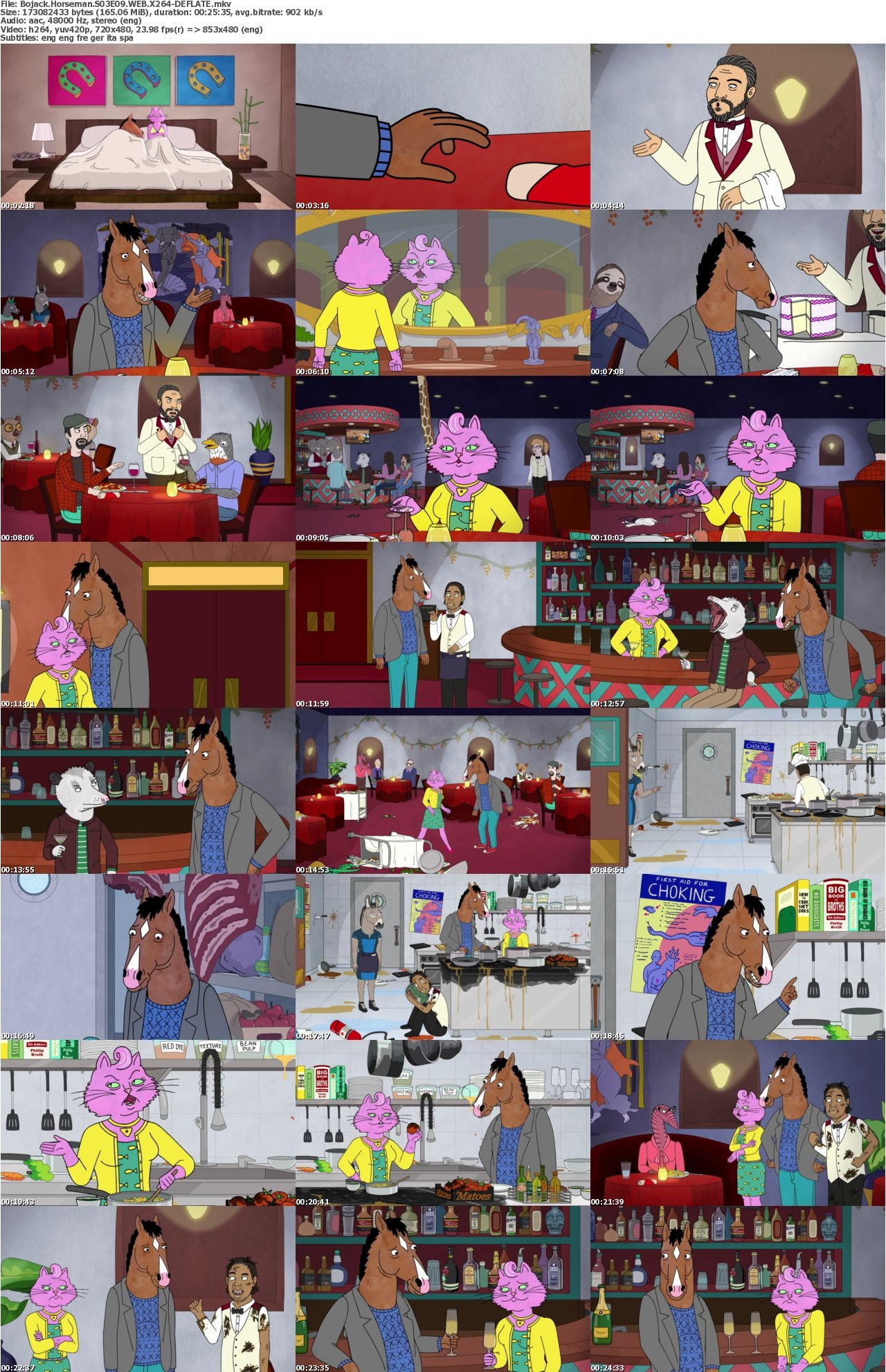 Bojack Horseman S03E09 WEB X264-DEFLATE