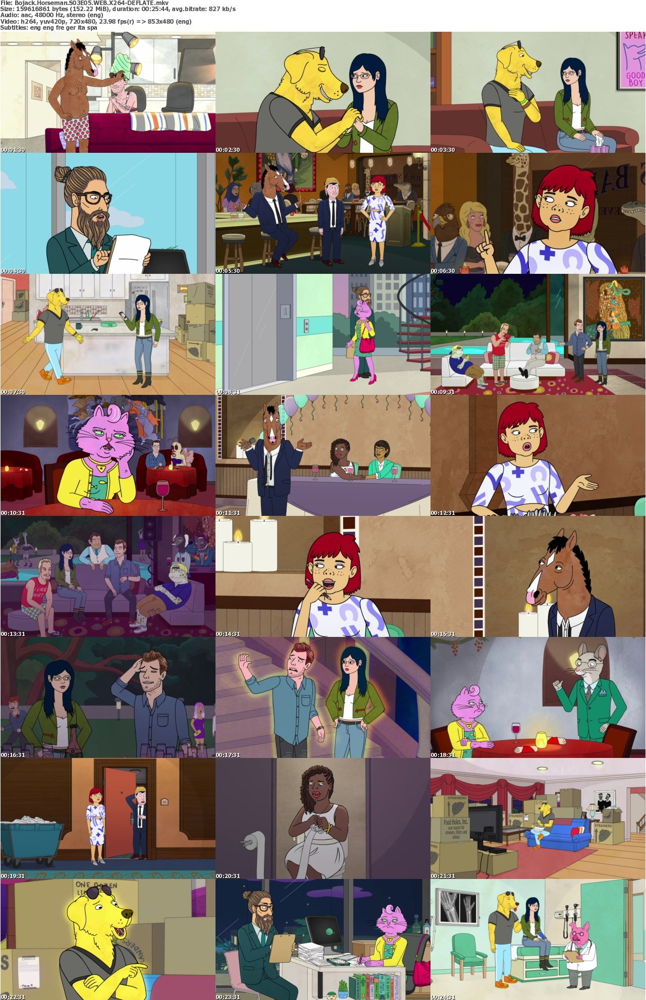Bojack Horseman S03E05 WEB X264-DEFLATE
