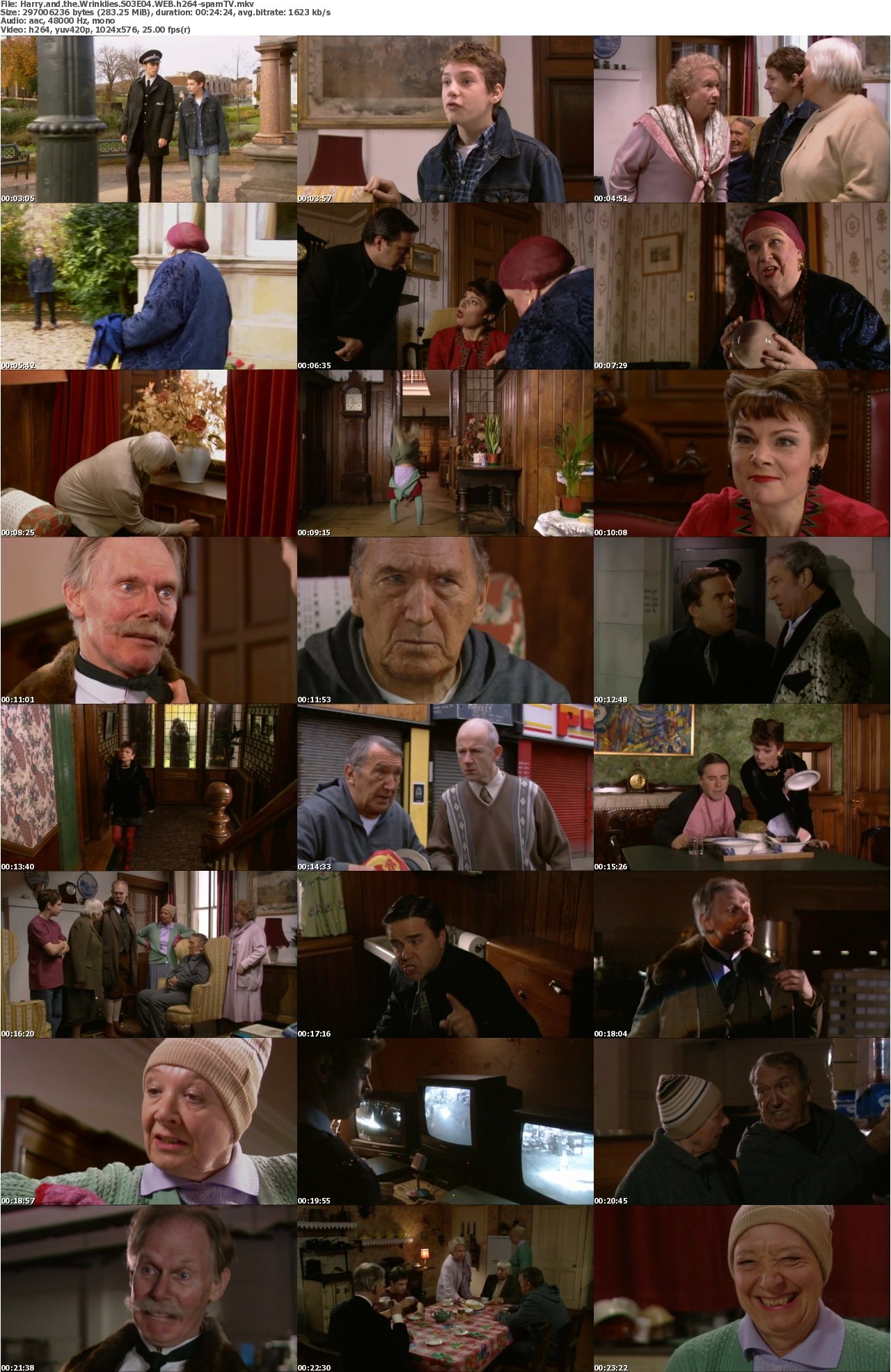 Harry and the Wrinklies S03E04 WEB h264-spamTV