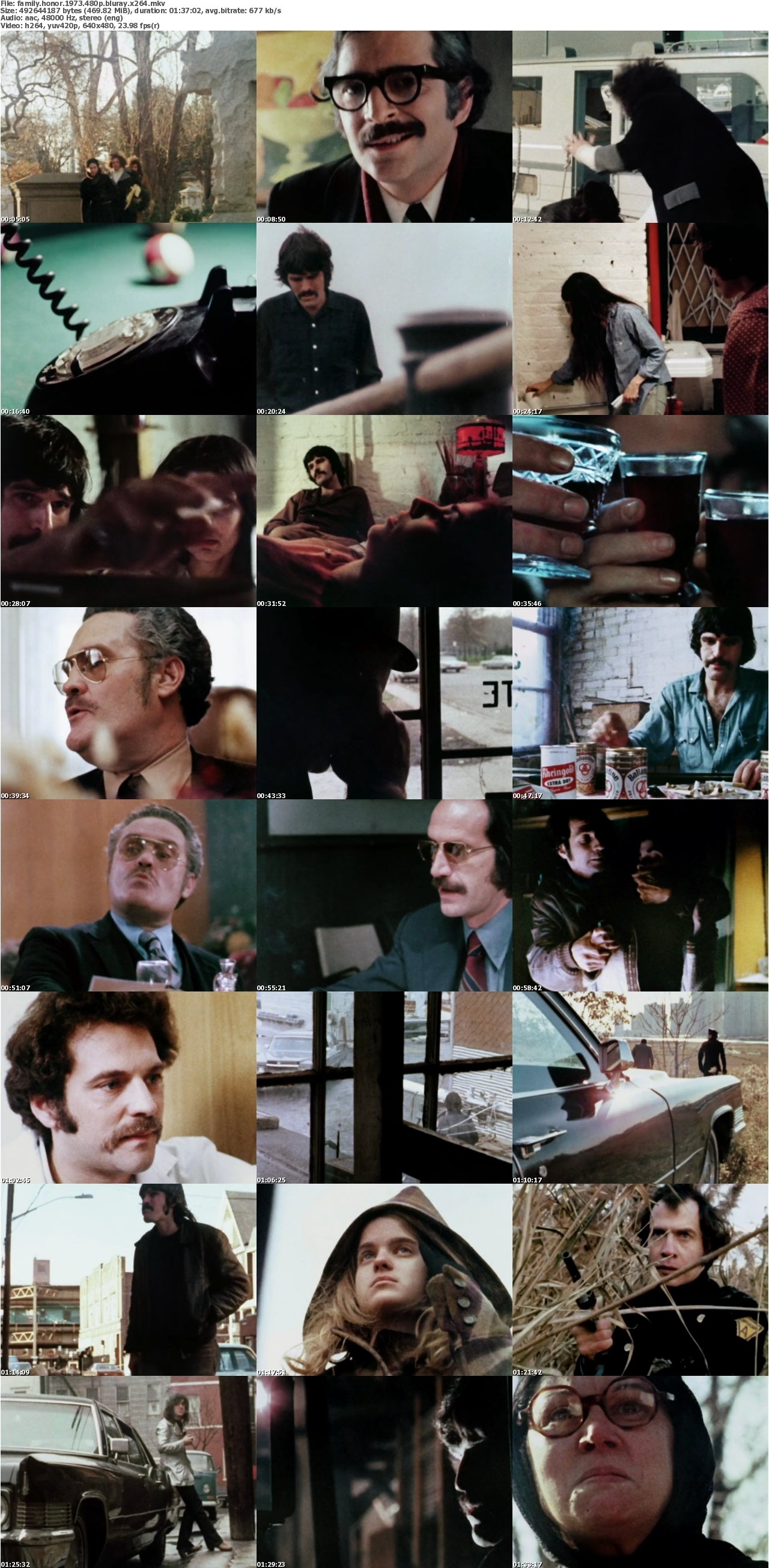 Family Honor 1973 480p BluRay x264