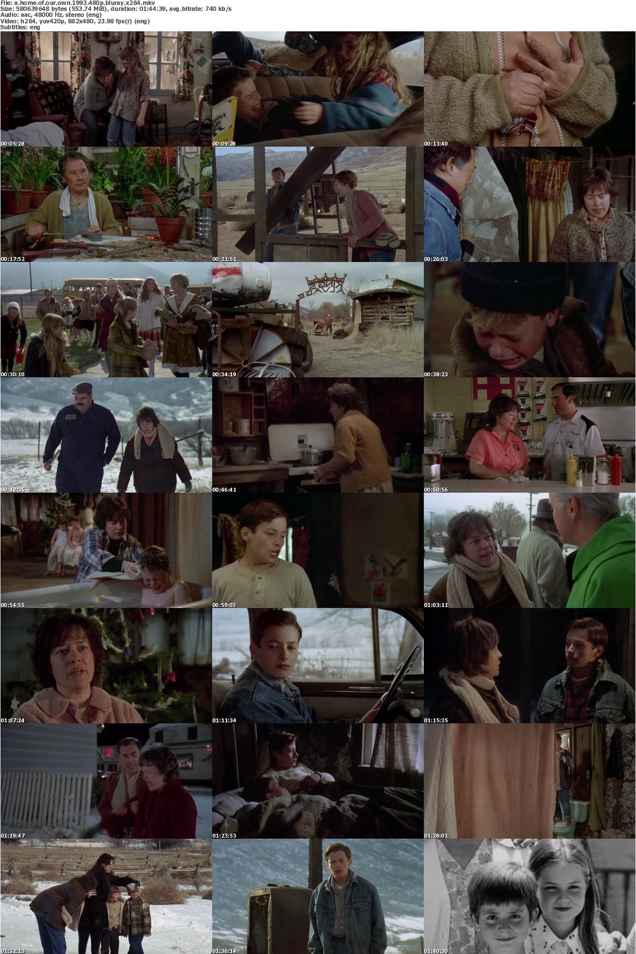 A Home of Our Own 1993 480p BluRay x264