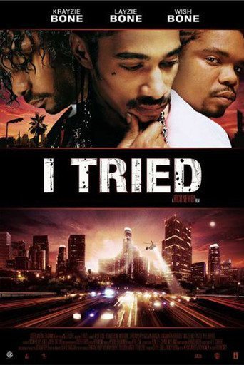 I Tried 2007 iNTERNAL DVDRip x264-REGRET