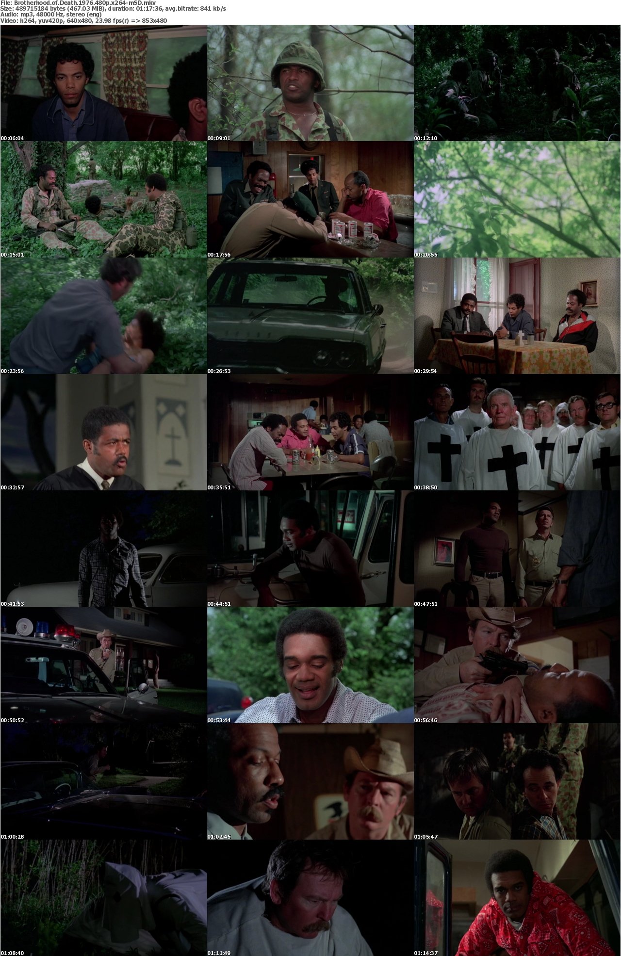Brotherhood of Death 1976 480p x264-mSD