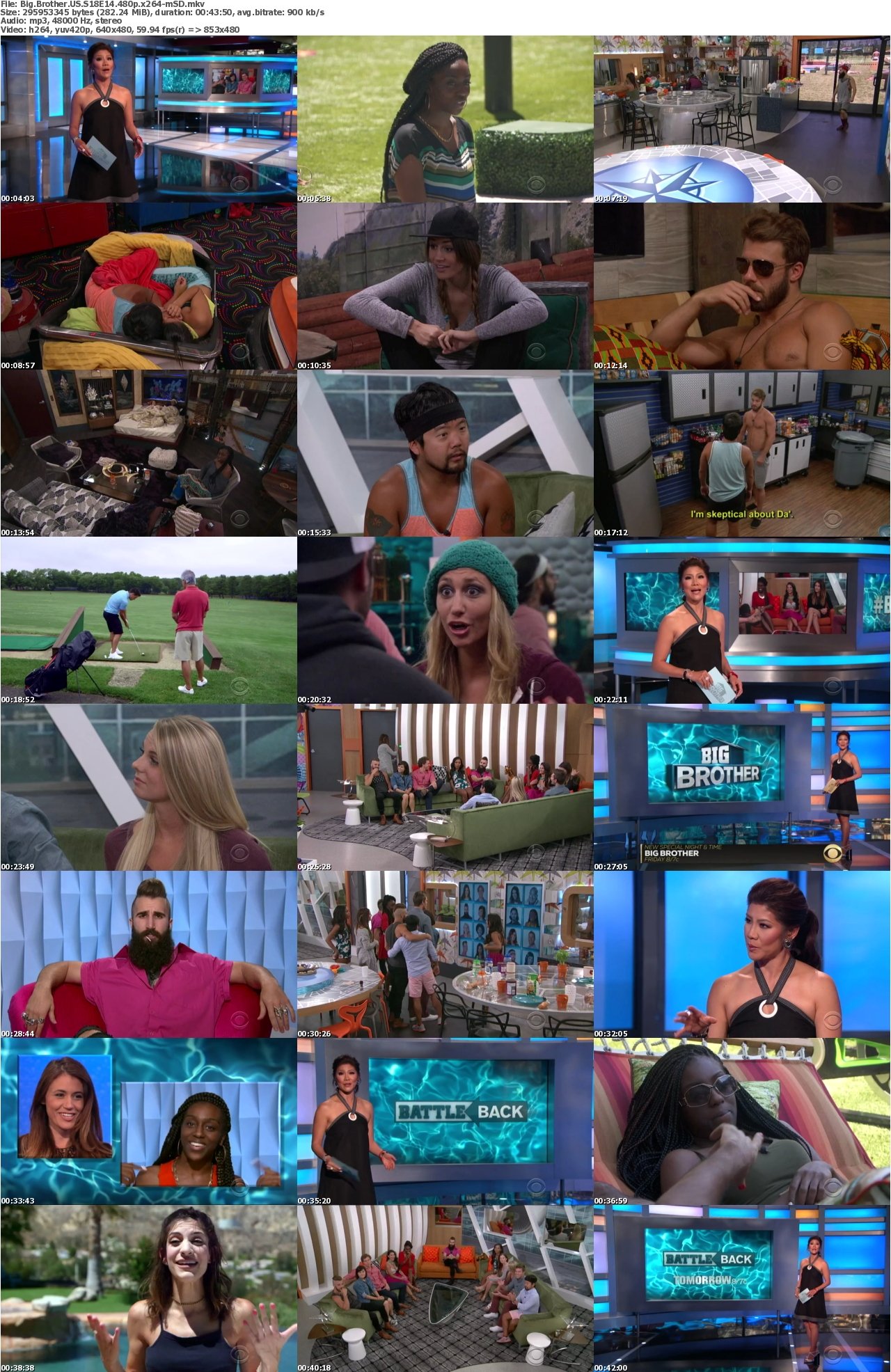 Big Brother US S18E14 480p x264-mSD