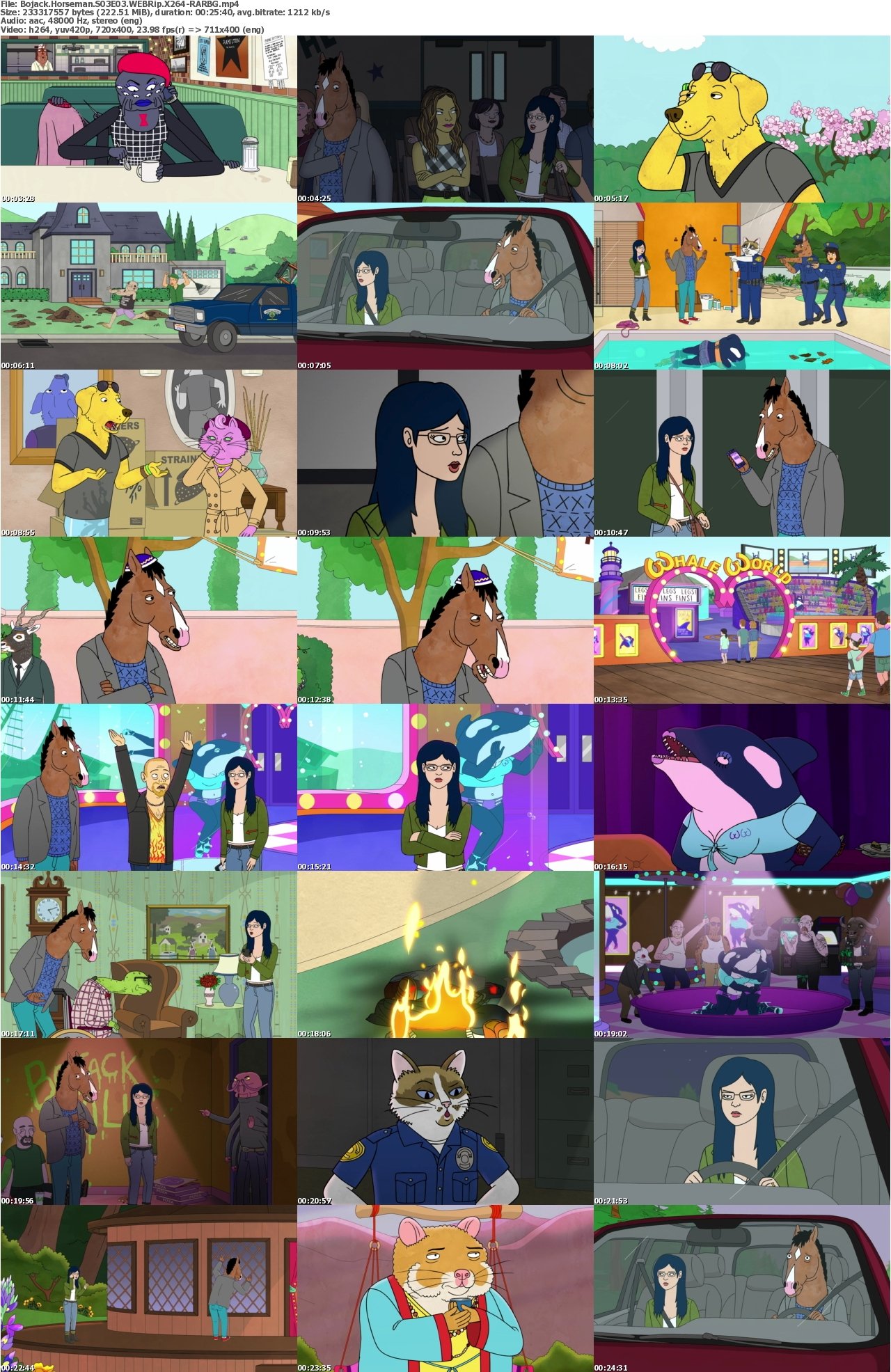 Bojack Horseman S03E03 WEBRip X264-RARBG
