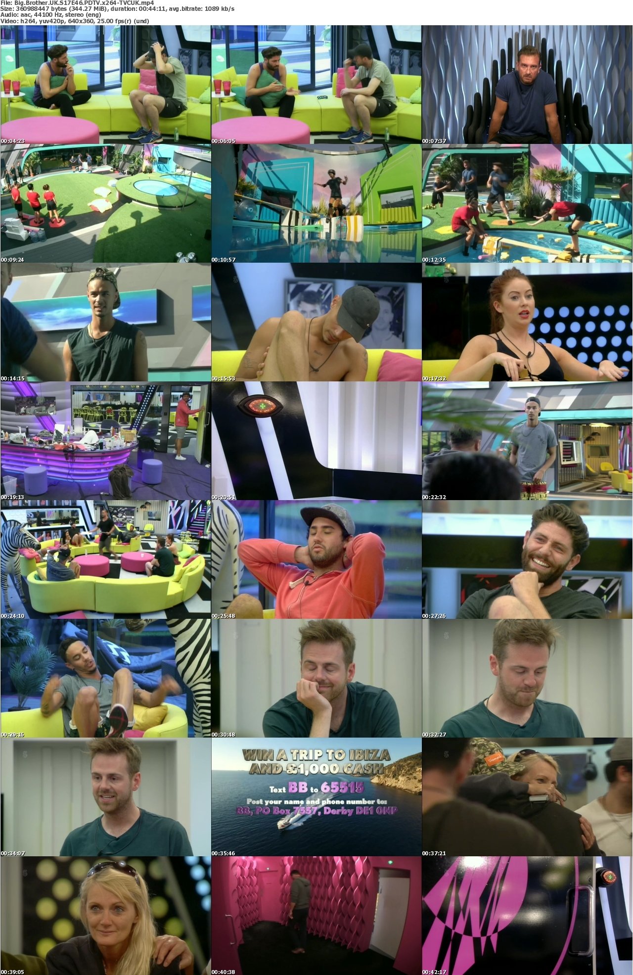 Big Brother UK S17E46 PDTV x264-TVCUK