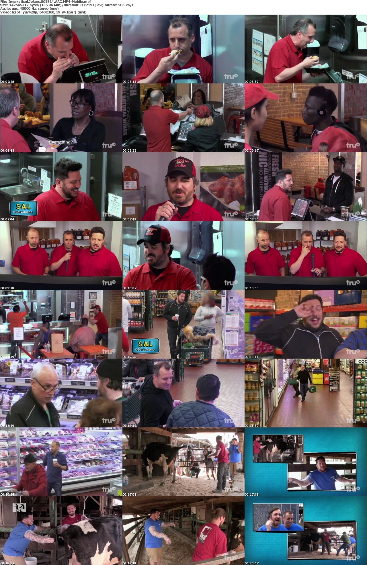 Impractical Jokers S05E14 AAC MP4-Mobile