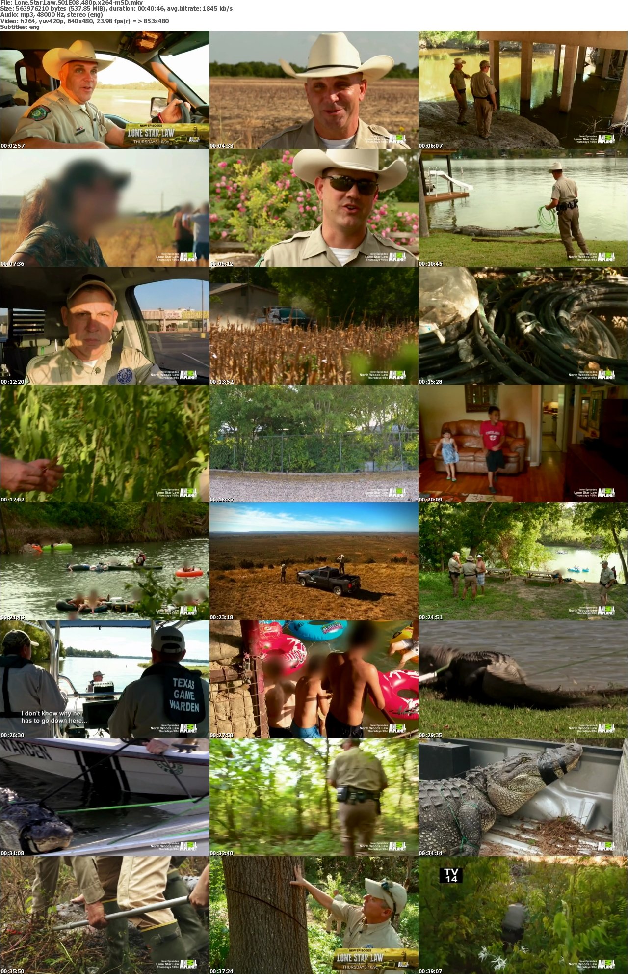 Lone Star Law S01E08 480p x264-mSD