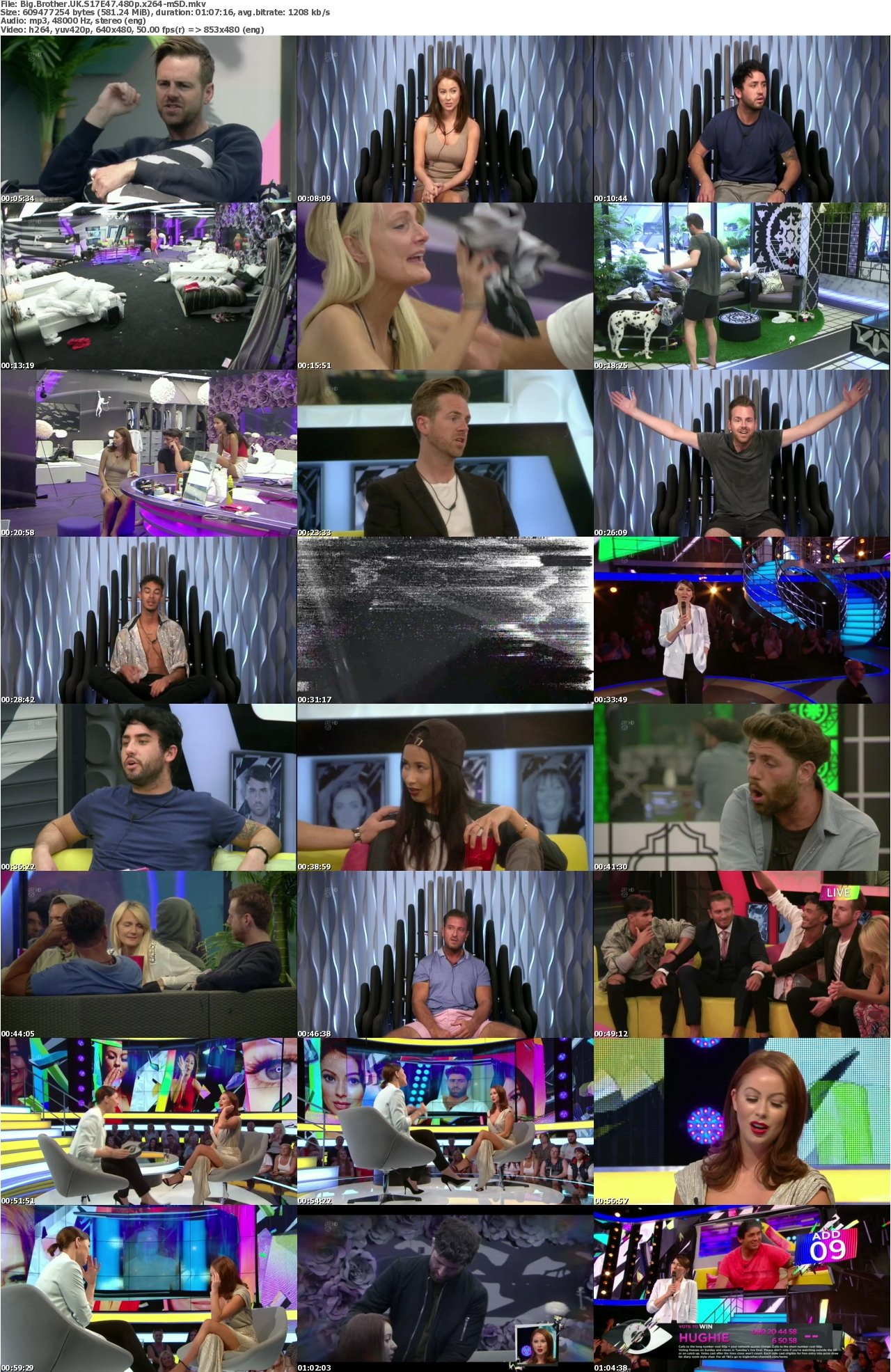 Big Brother UK S17E47 480p x264-mSD