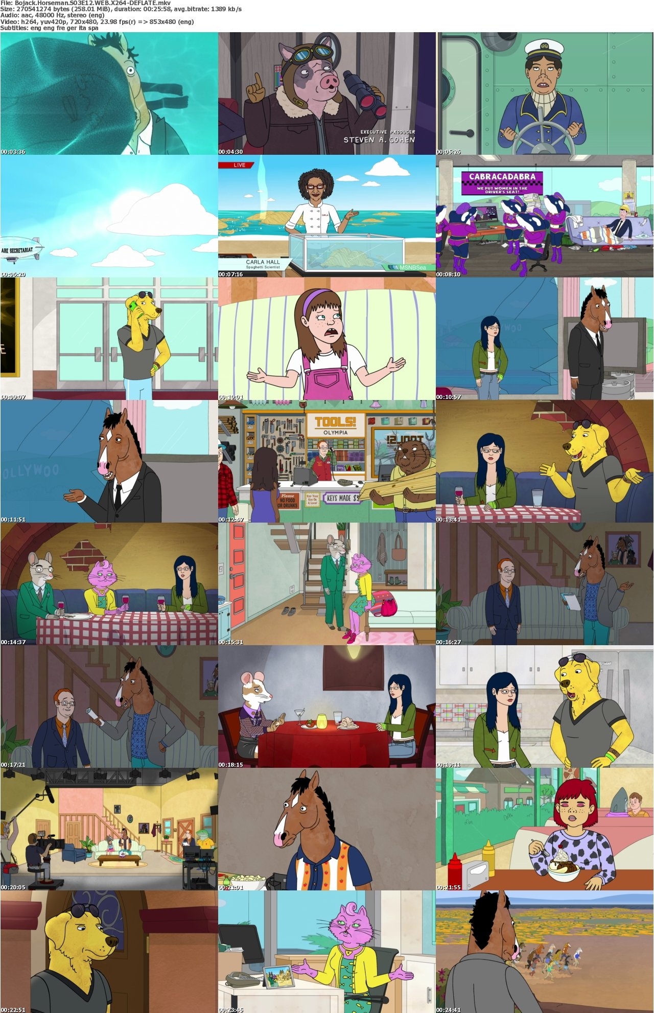 Bojack Horseman S03E12 WEB X264-DEFLATE