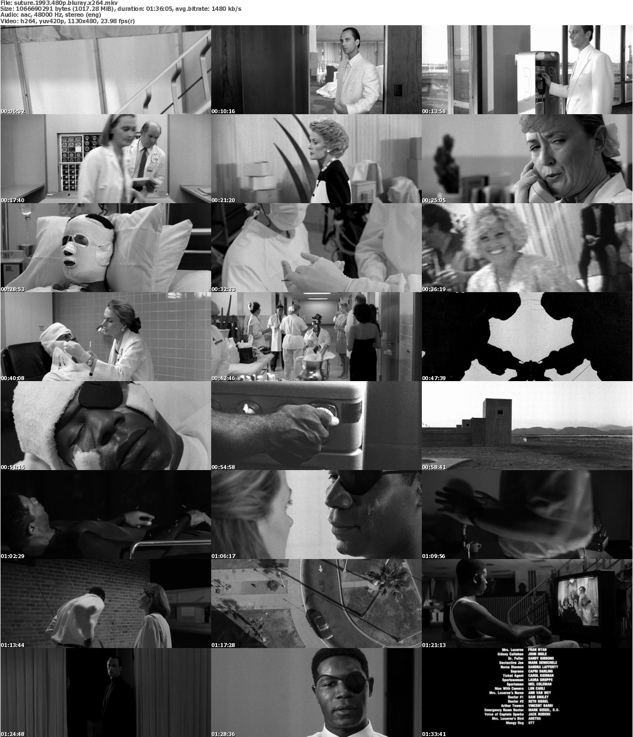 Suture 1993 480p BluRay x264