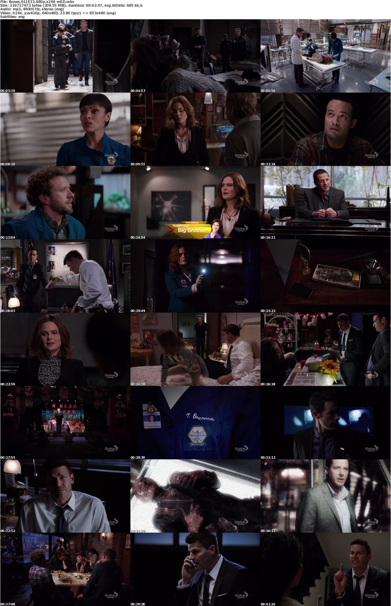 Bones S11E22 480p x264-mSD