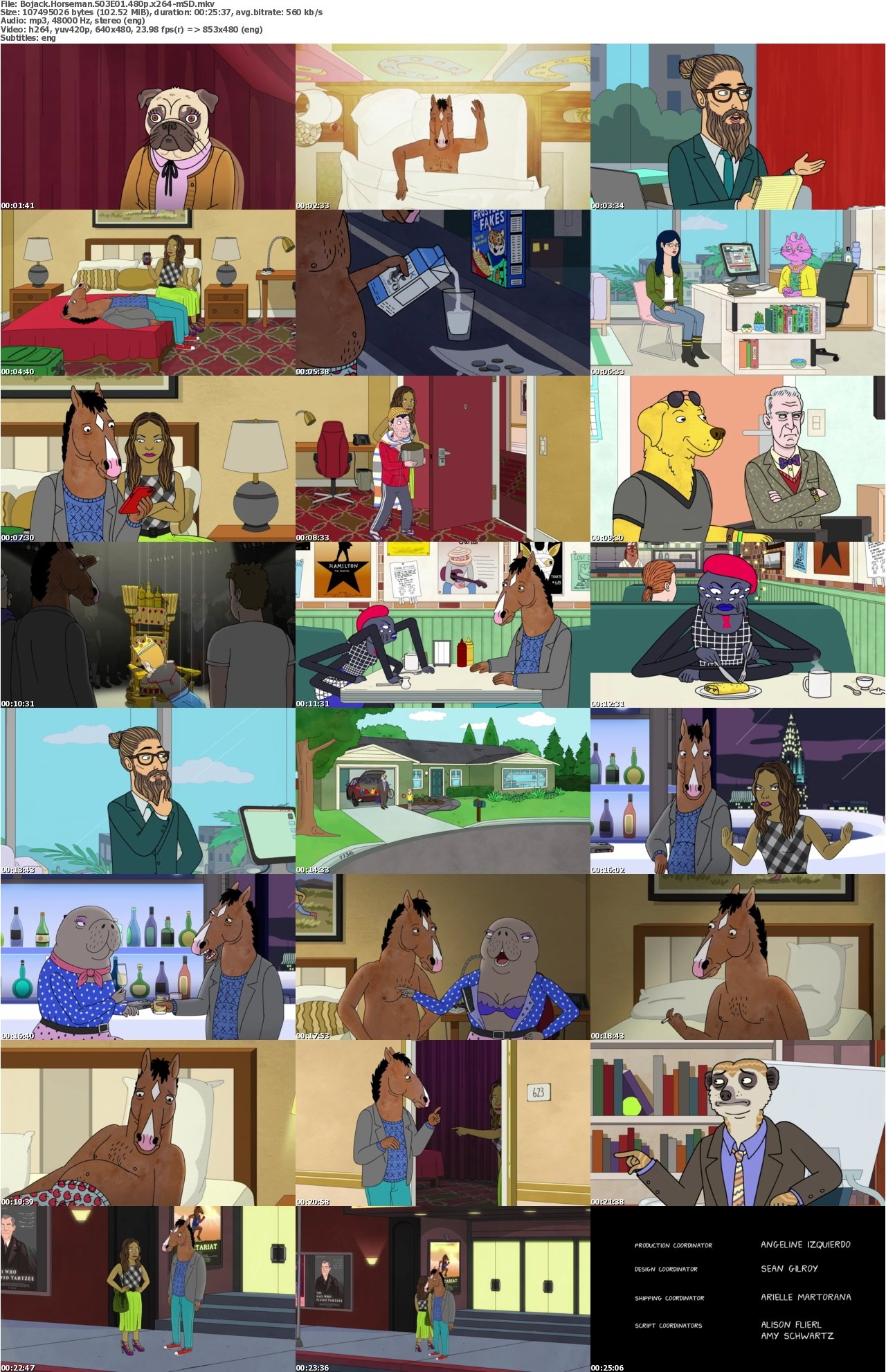 Bojack Horseman S03E01 480p x264-mSD
