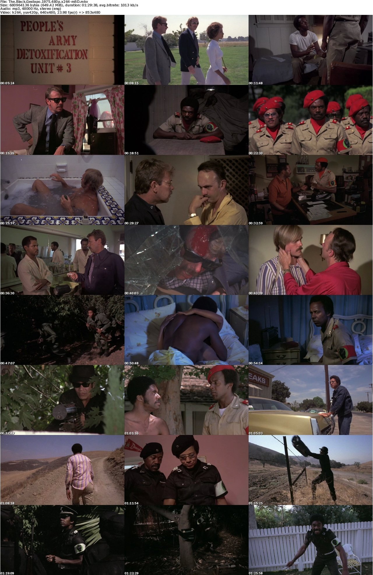 The Black Gestapo 1975 480p x264-mSD