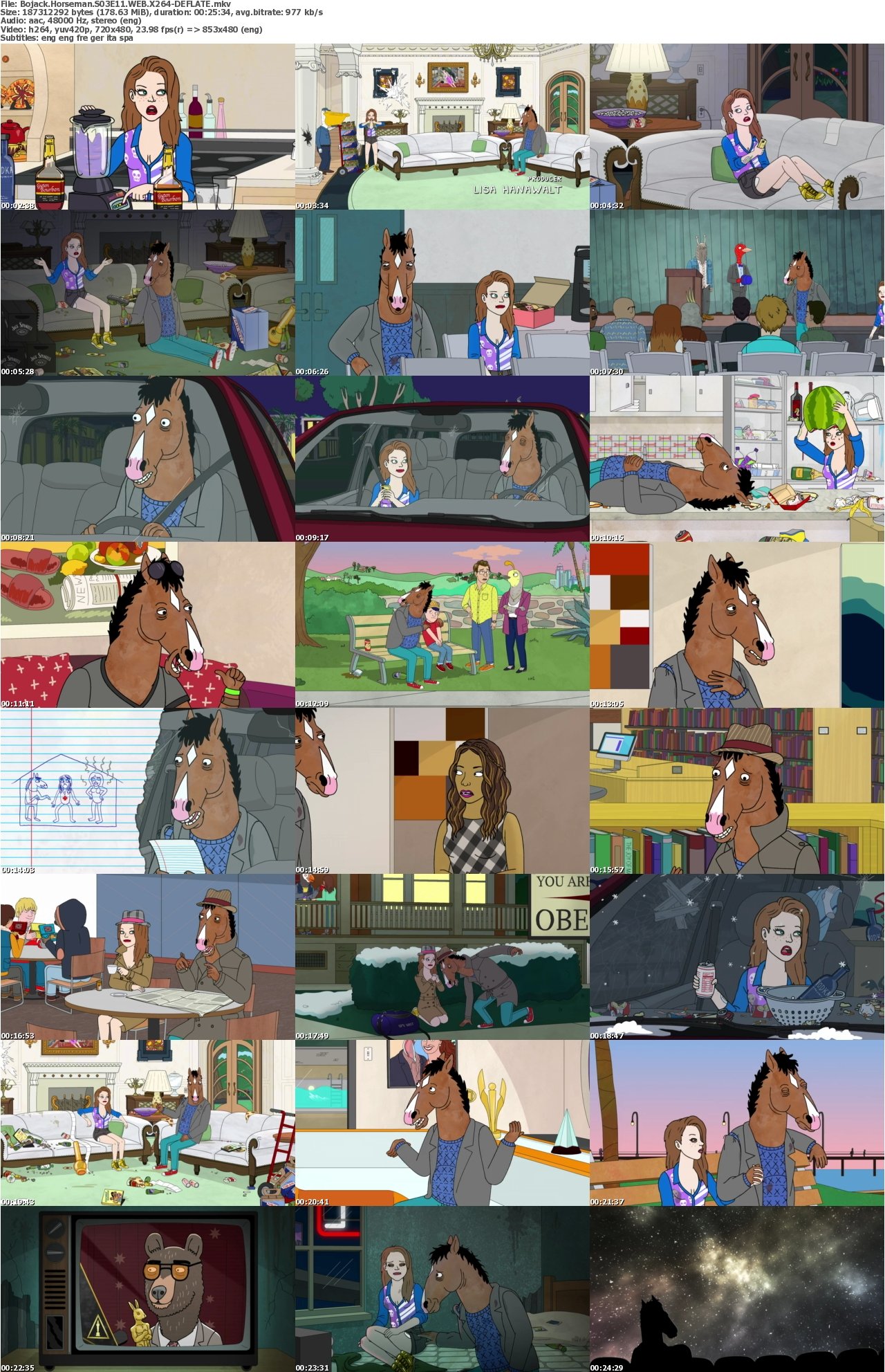 Bojack Horseman S03E11 WEB X264-DEFLATE