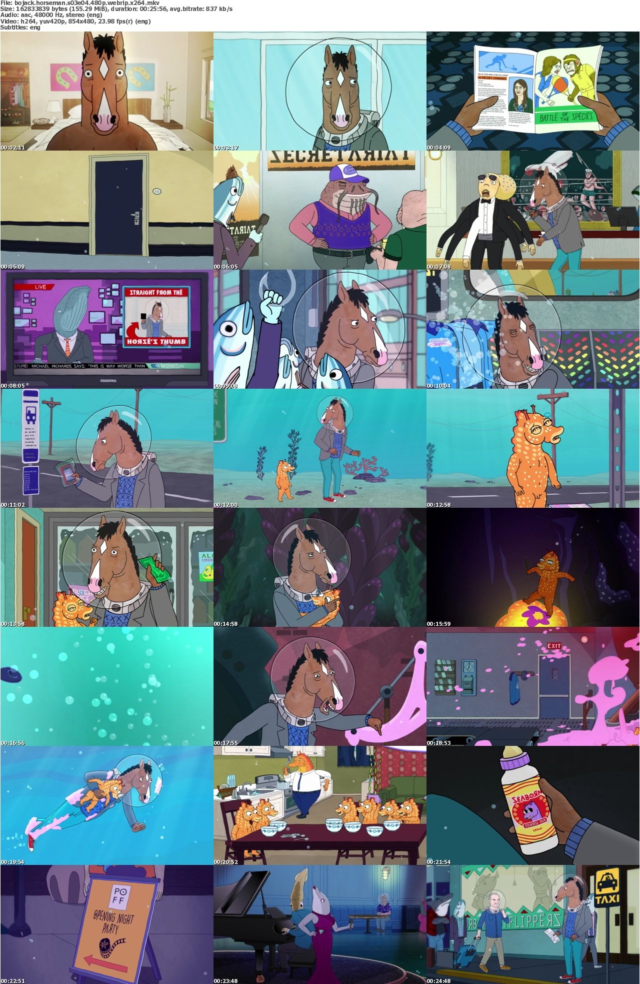 Bojack Horseman S03E04 480p WEBRip x264