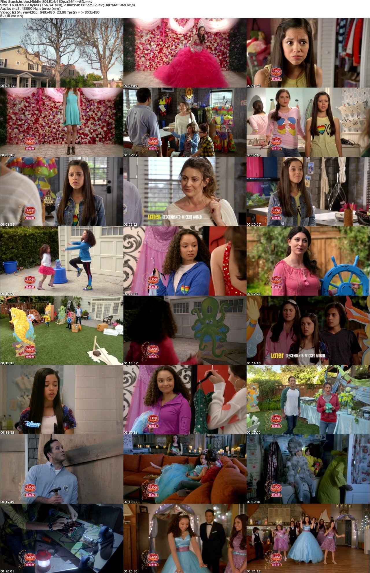 Stuck in the Middle S01E16 480p x264-mSD