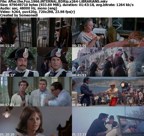 After the Fox 1966 iNTERNAL BDRip x264-LiBRARiANS