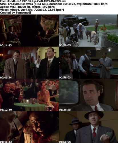 Hoodlum 1997 BRRip XviD MP3-RARBG