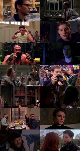 Spiderman 2002 1080p bluray x264-hv