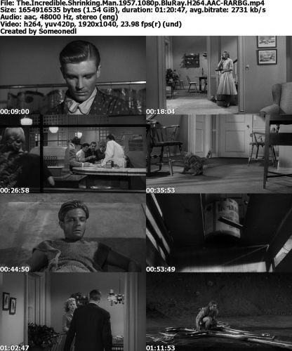 The Incredible Shrinking Man 1957 1080p BluRay H264 AAC-RARBG