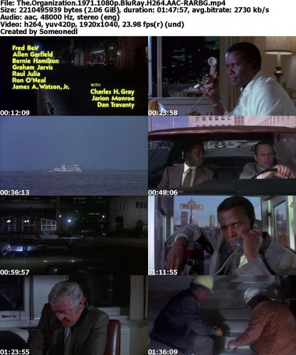 The Organization 1971 1080p BluRay H264 AAC-RARBG