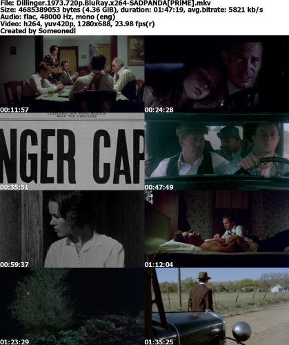 Dillinger 1973 720p BluRay x264-SADPANDA