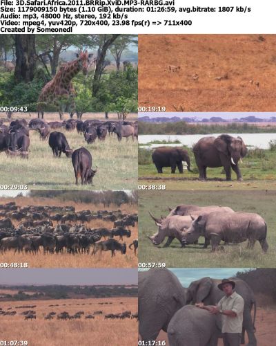 3D Safari Africa 2011 BRRip XviD MP3-RARBG
