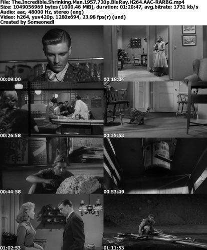 The Incredible Shrinking Man 1957 720p BluRay H264 AAC-RARBG
