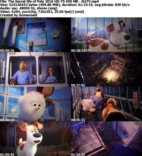 The Secret life of Pets 2016 HD-TS 500 MB - iExTV