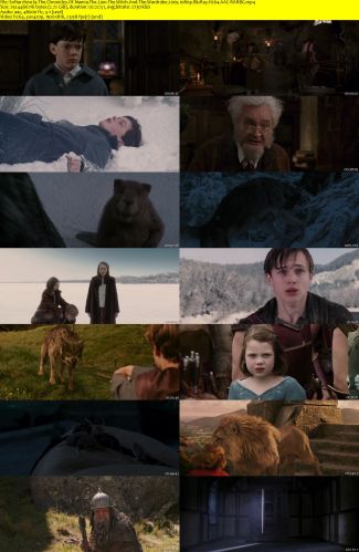 The Chronicles Of Narnia The Lion The Witch And The Wardrobe 2005 1080p BluRay H264 AAC-RARBG