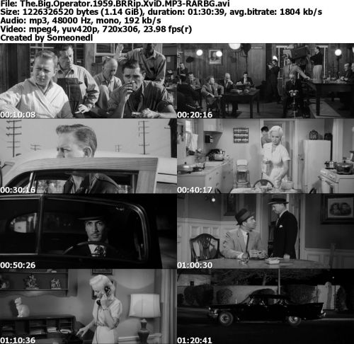 The Big Operator 1959 BRRip XviD MP3-RARBG