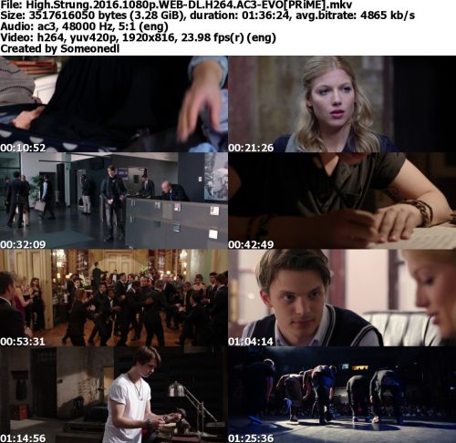 High Strung 2016 1080p WEB-DL H264 AC3-EVO