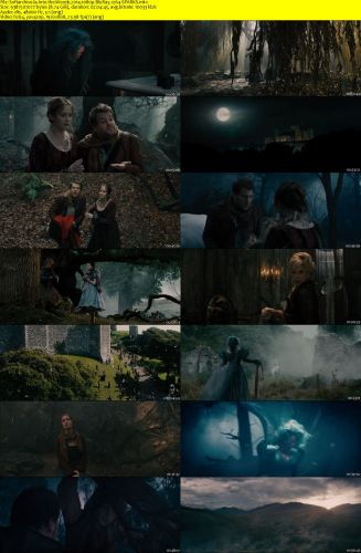 Into the Woods 2014 1080p BluRay x264-SPARKS