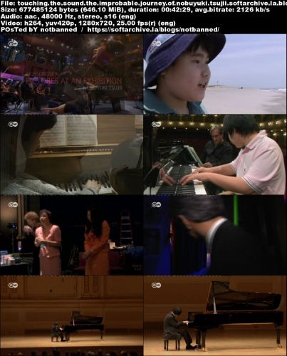 Touching the Sound - The Improbable Journey of Nobuyuki Tsujii (2015) 720p WEB h264-OmarMateen