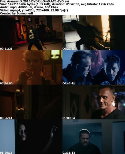 Assassin X 2016 DVDRip XviD AC3-EVO