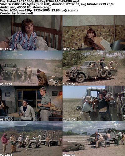 Hatari 1962 1080p BluRay H264 AAC-RARBG