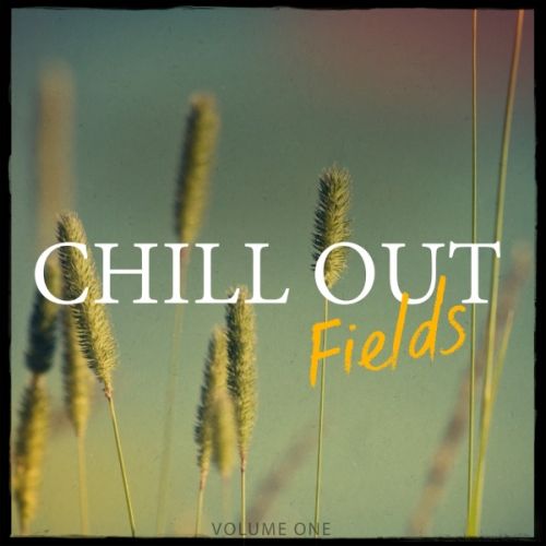 VA - Chill Out Fields, Vol. 1 (Finest In Modern Chill Out &amp; Ambient)(2016)