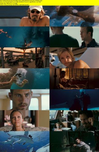 Into The Blue 2005 1080p BluRay H264 AAC-RARBG