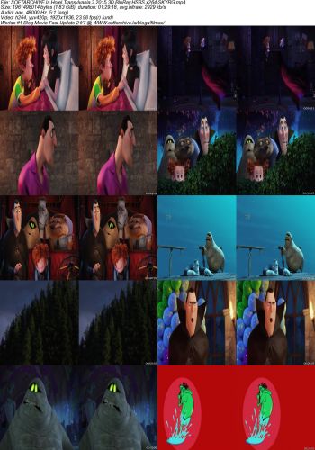 Hotel Transylvania 2 2015 3D BluRay HSBS x264 SKYRG